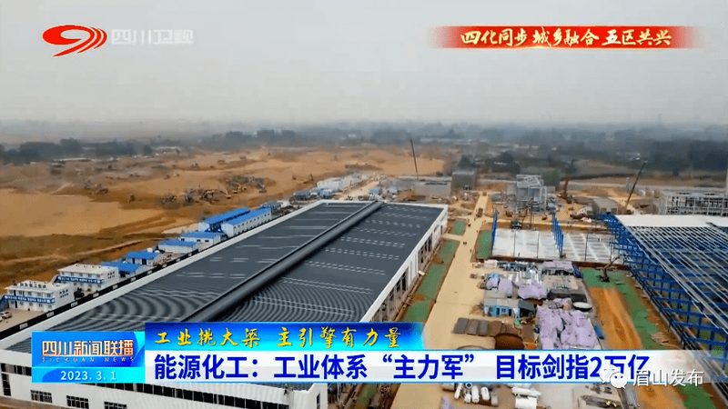 饮料工业中不可或缺的工业添加剂：类型与作用解析